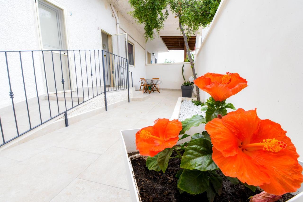 Bed and breakfast Macchia Mediterranea